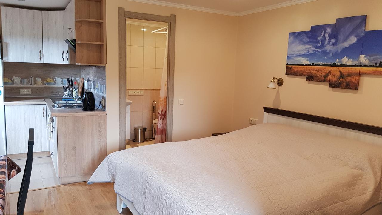 Lara Hotel Solochyn Eksteriør billede